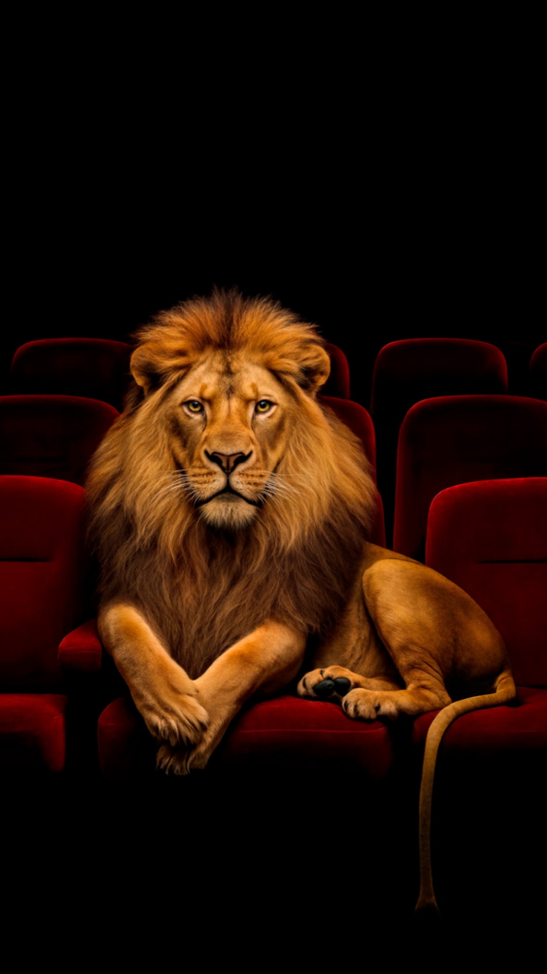 León en asientos de cine