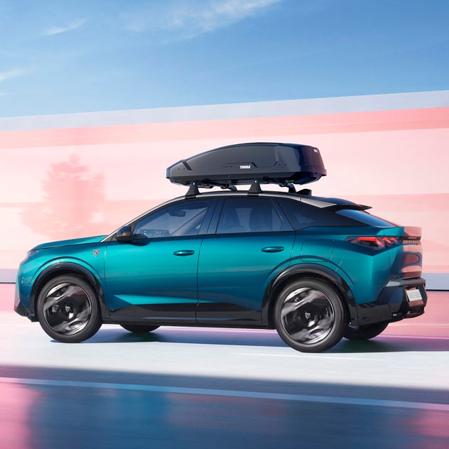 Cofre de techo PEUGEOT 3008