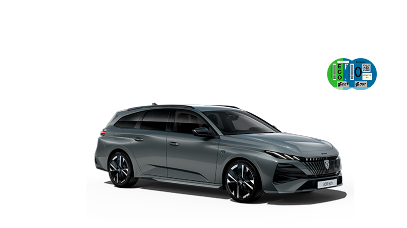Nuevo 308 SW